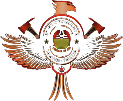 6º GBM CBMAP